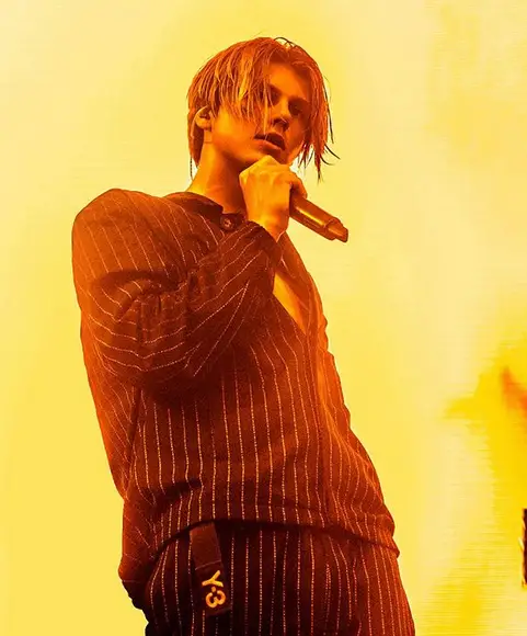 Ruel [Pop Singer] Age, Birthday, Tour, Real Name & Facts